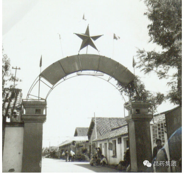 "昆中药传统中药制剂"入选国家级非物质文化遗产名录